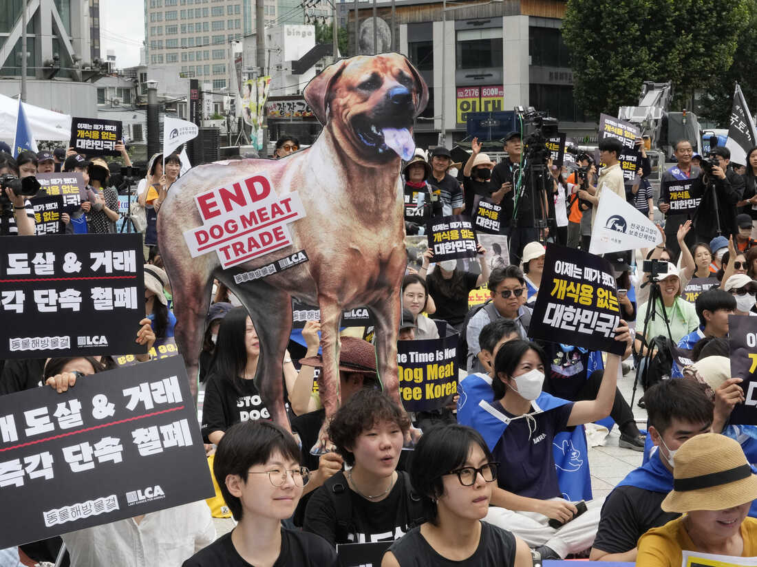 Dog Meat